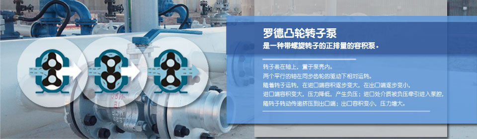 小黄片软件下载厂家